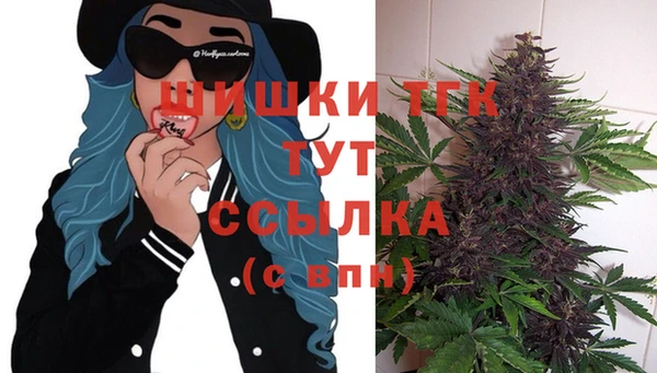 альфа пвп Няндома