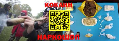 гашик Бийск