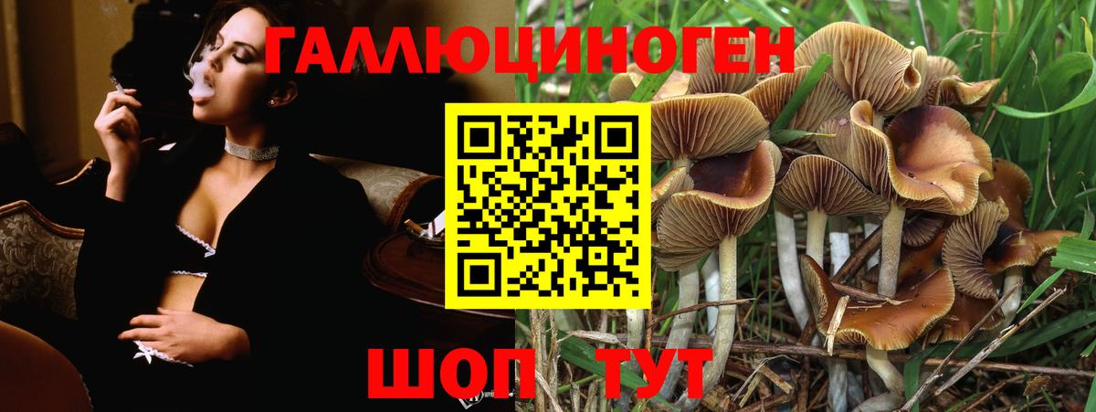 Галлюциногенные грибы прущие грибы Мирный